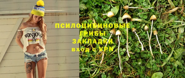 мет Аркадак